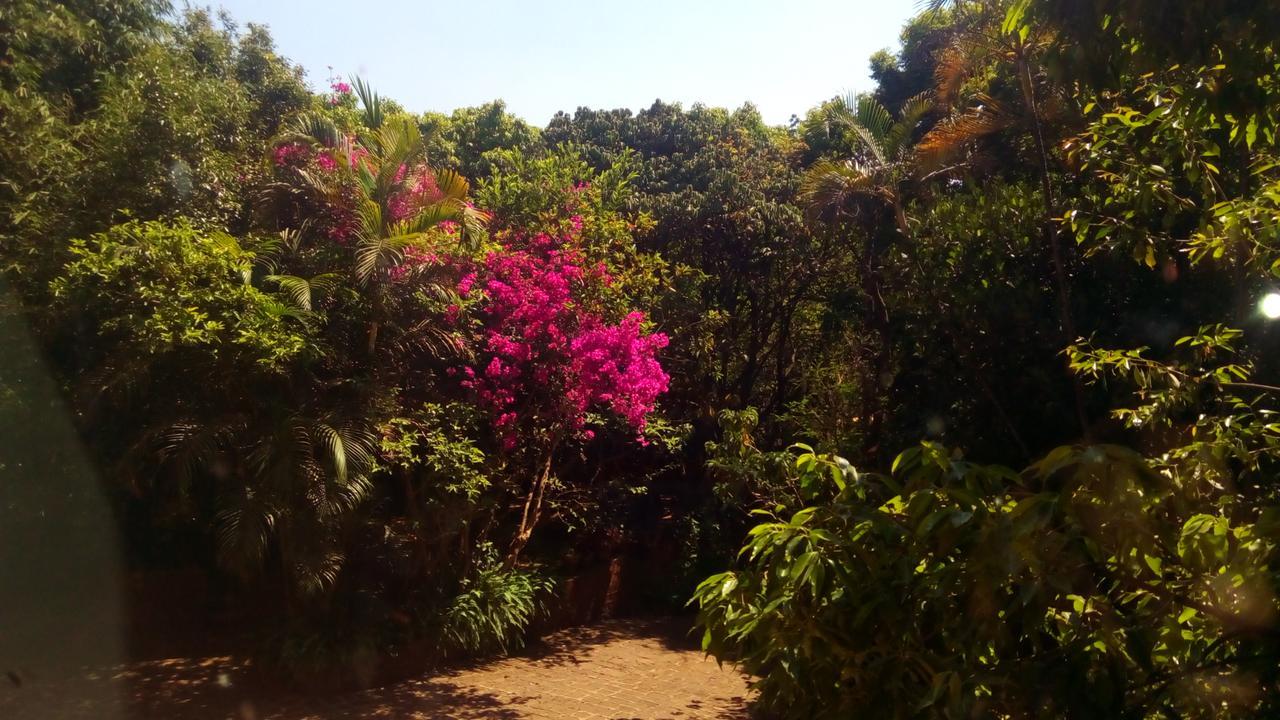 Hotel Tree Top Mahābaleshwar Dış mekan fotoğraf